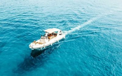 IMG-20220704-WA0004(1)